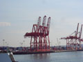 crane lineup.jpg